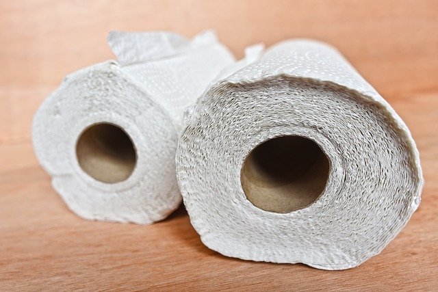 No Paper Towels! Why They’ll Lead You To Sewer Cleaning Faster Than You Think