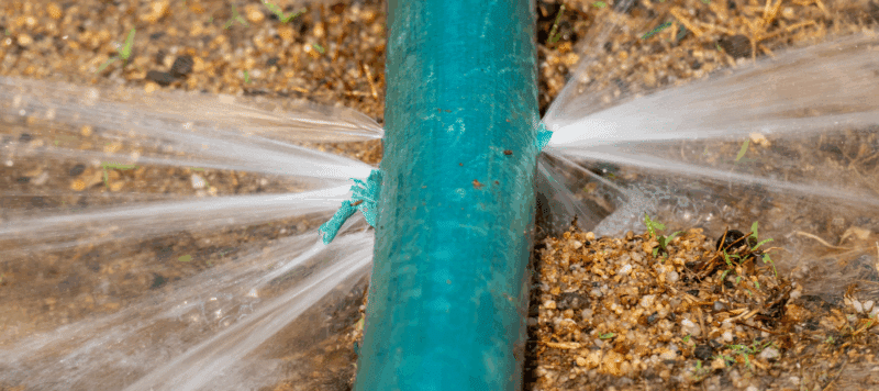 image of an underground pipe burst in a yard